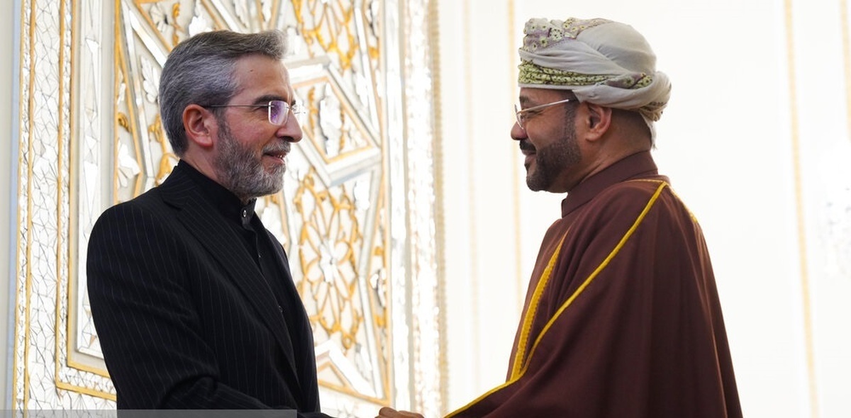 تصاویر| دیدار وزیر امور خارجه عمان با علی باقری
