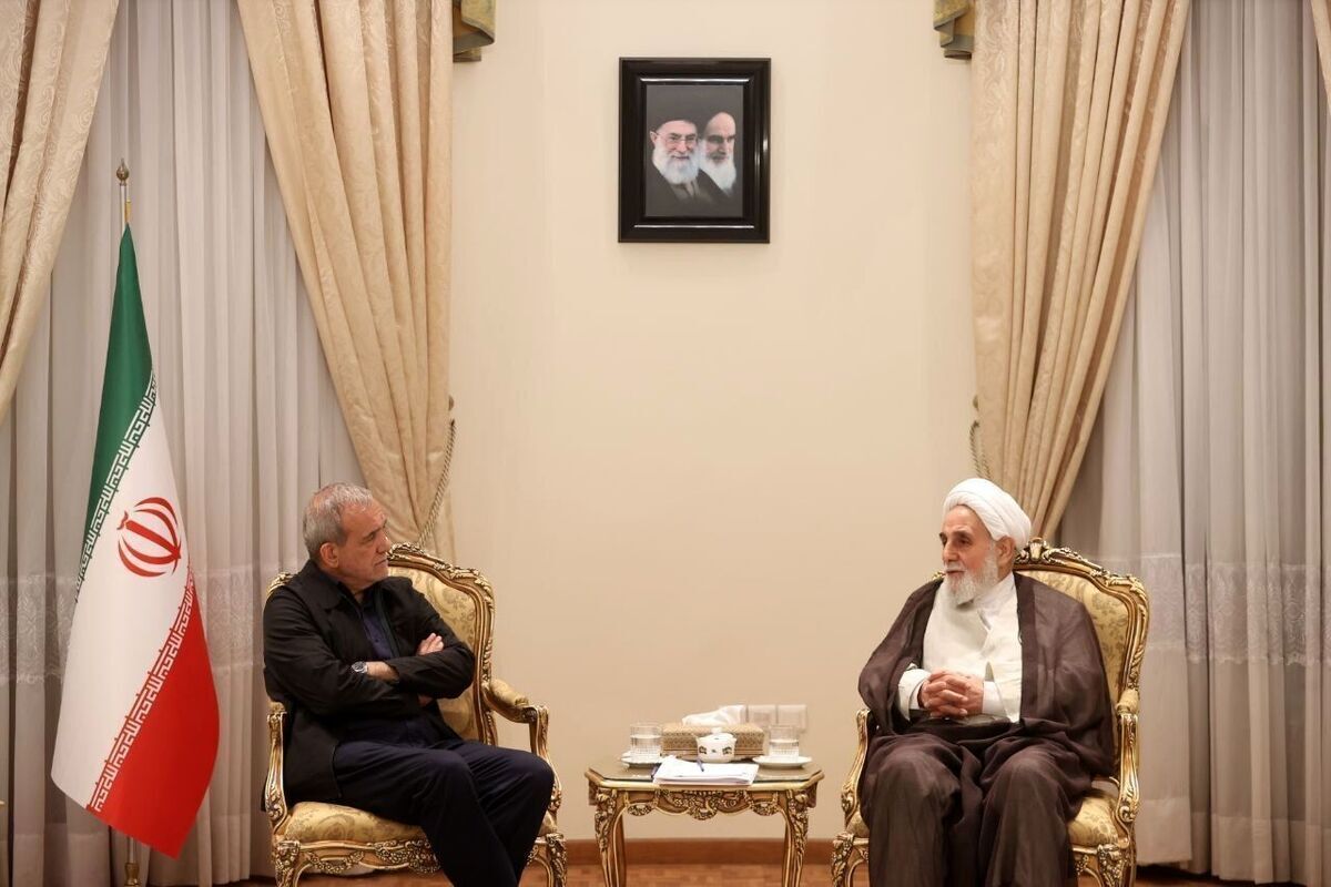 عکس| دیدار ناطق‌نوری با پزشکیان