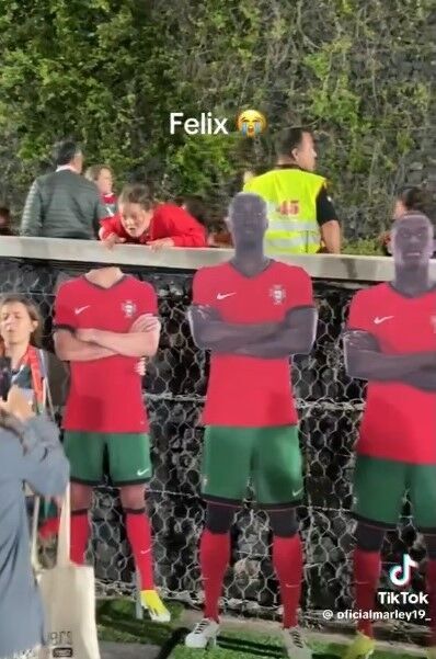 عکس| قطع سر عامل حذف رونالدو در یورو! عکس| قطع سر عامل حذف رونالدو در یورو!