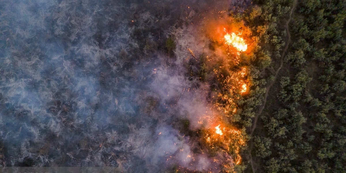 تصاویر| آتش‌سوزی پارک ملی کرخه