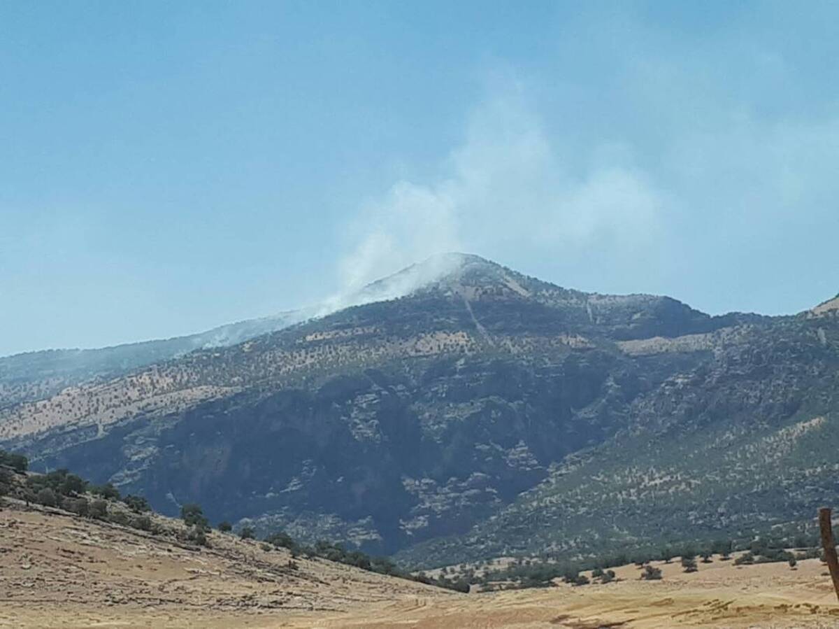 آتش‌سوزی گسترده در کوه‌های چیتاب بویراحمد