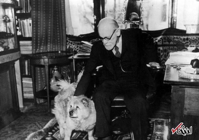 عکس| زیگموند فروید روانشناس مشهور همراه با حیوان خانگی اش