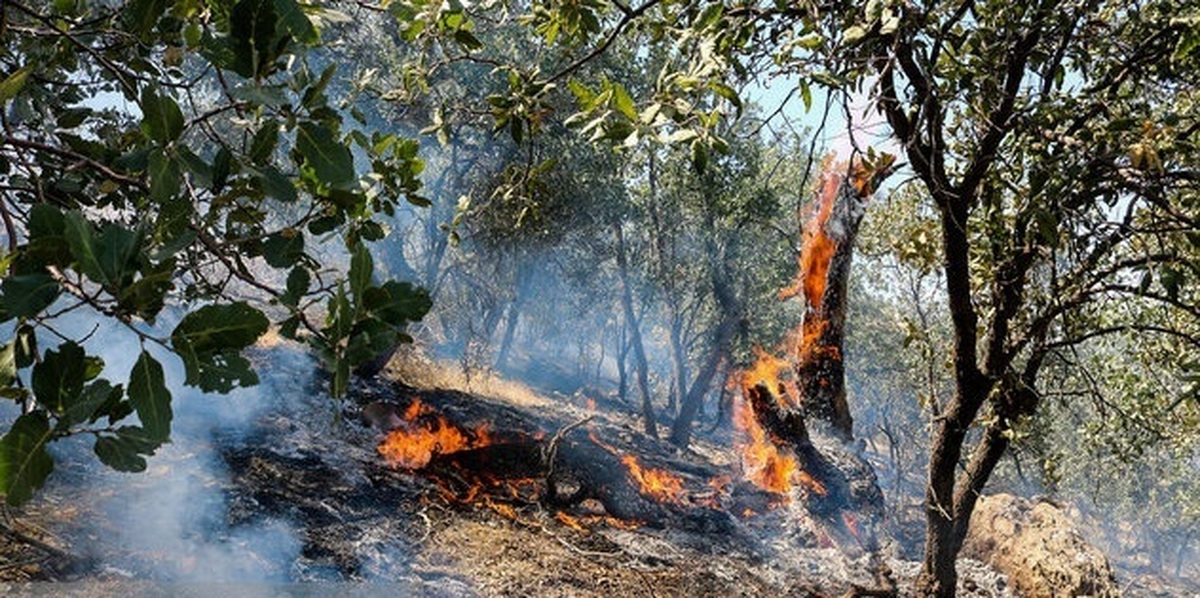 آتش‌سوزی در جنگل‌های دزپارت مهار شد / درخت‌های بلوط و بادام سوختند