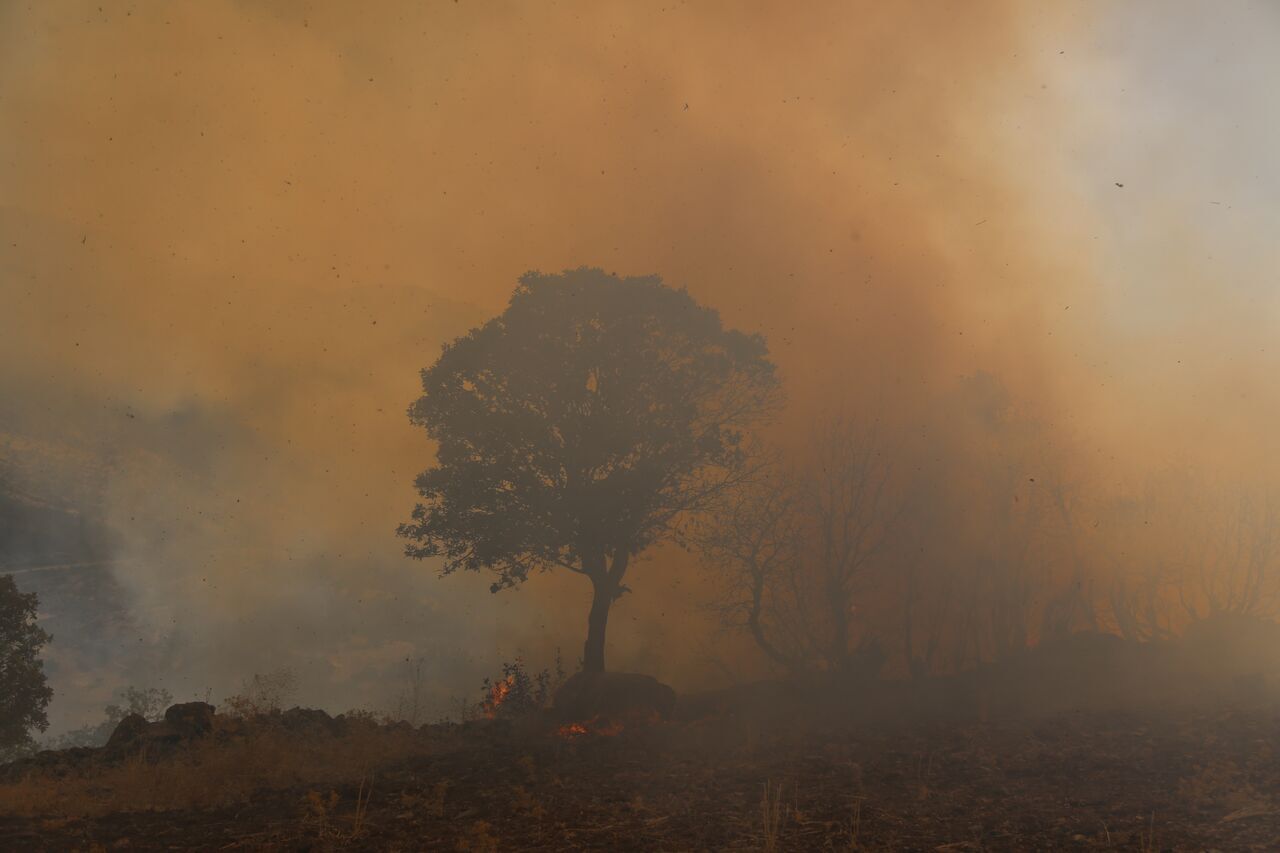 آتش در زاگرس / آتش سوزی هزار و ۲۲۷ هکتار عرصههای ملی لرستان طی یک هفته آتش در زاگرس / آتش سوزی هزار و ۲۲۷ هکتار عرصههای ملی لرستان طی یک هفته