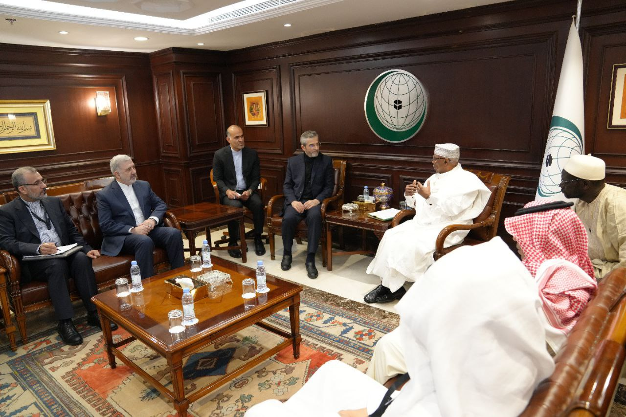 باقری با دبیرکل سازمان همکاری اسلامی دیدار کرد + عکس