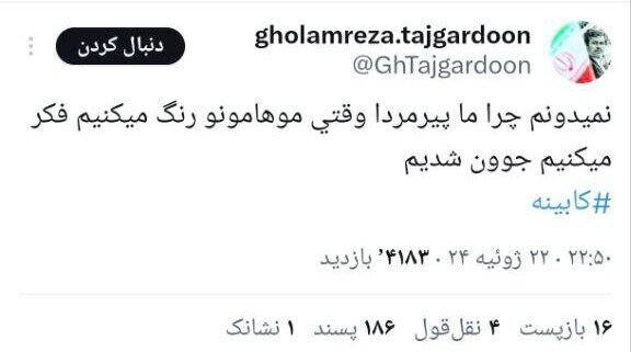 کنایه سنگین تاجگردون به سهم خواهی «پیرمرد‌های سیاست» از کابینه پزشکیان