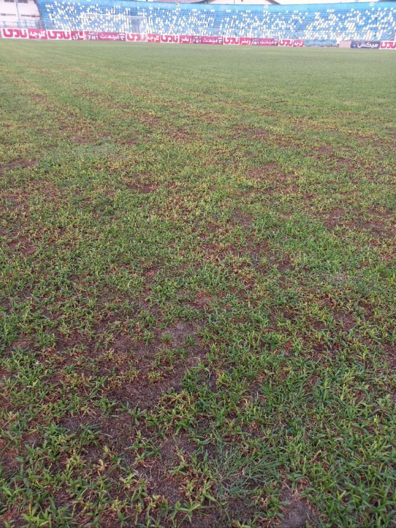 اولین ابلاغیه کمیته انضباطی برای بیانیه گل‌گهر در هفته اول لیگ برتر فوتبال