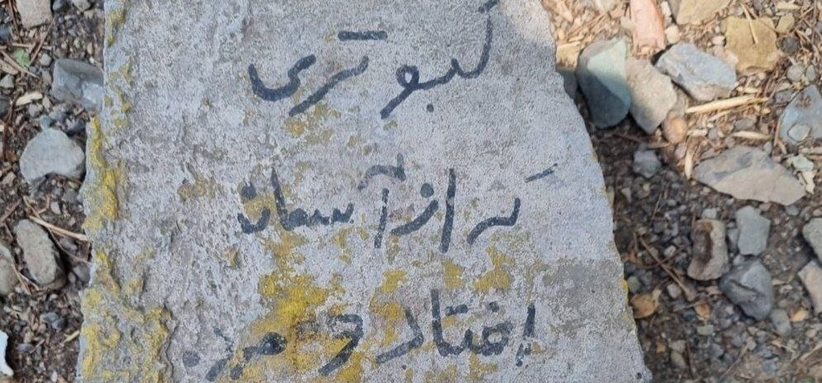 عکس| سنگ قبر یک کبوتر در ایران پربازدید شد