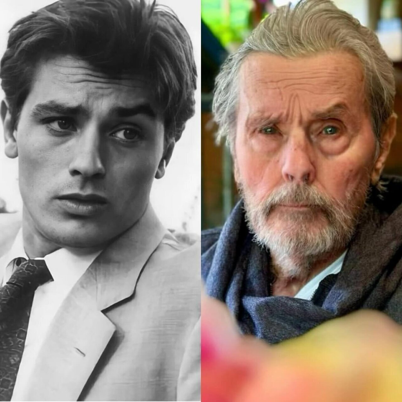 داستان کامل درگیری فرزندان آلن دلون با همدیگر بر سر ارثیه پرماجرا داستان کامل درگیری فرزندان آلن دلون با همدیگر بر سر ارثیه پرماجرا