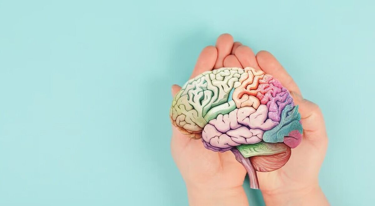 نقش مرموز یک عضو در سلامت مغز