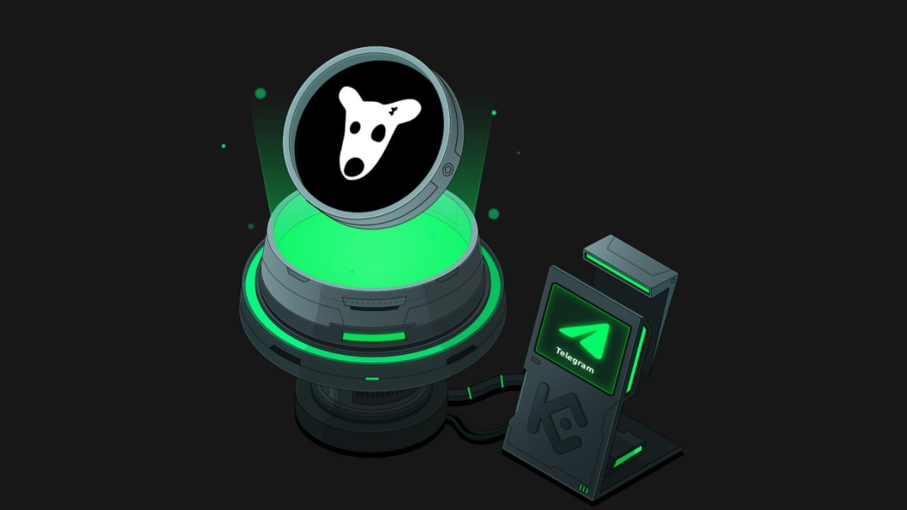 داگز آماده شروع معاملات در بایننس شد و شبکه TON را احیا کرد داگز آماده شروع معاملات در بایننس شد و شبکه TON را احیا کرد