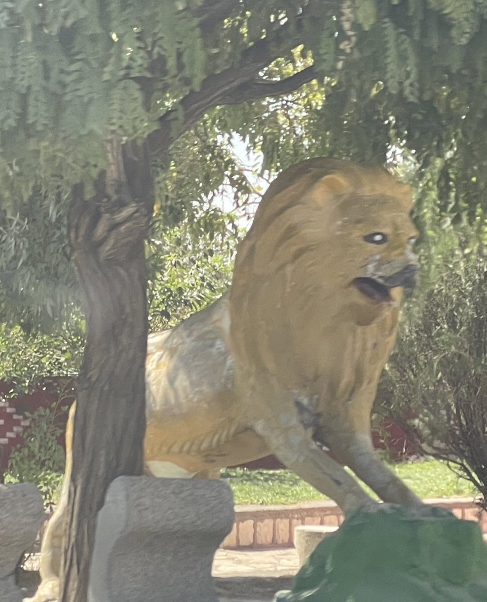 عکس| جنجال مجسمه شیر با ظاهری عجیب در شیراز