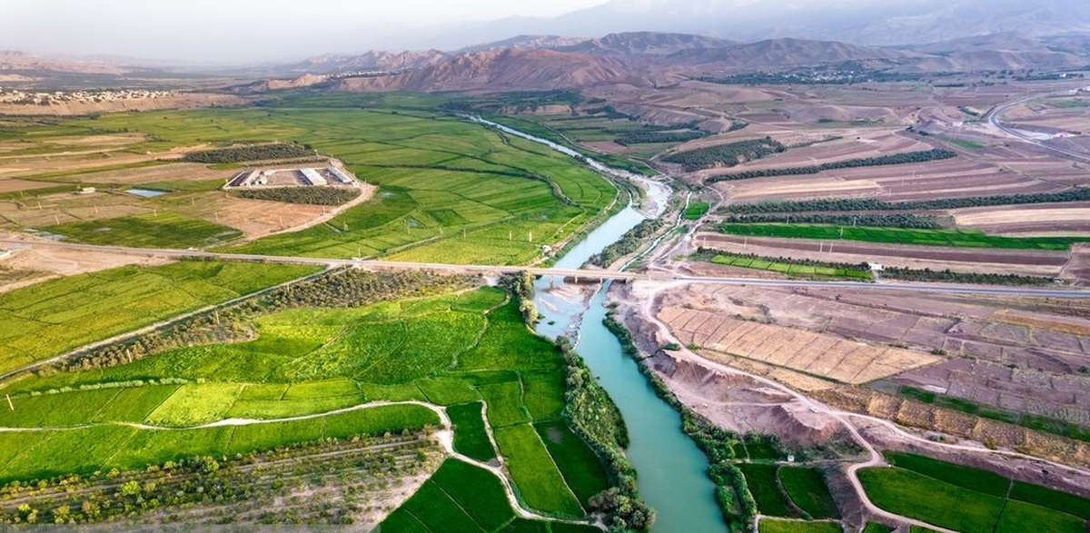 تصاویر/ کشت برنج در شهرستان طارم