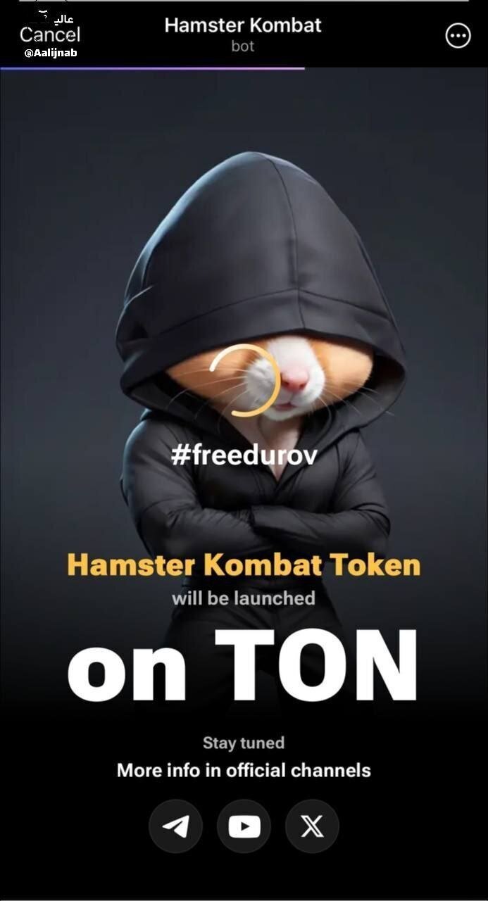 عکس| پوستر جدید همستر برای آزادی پاول دورف