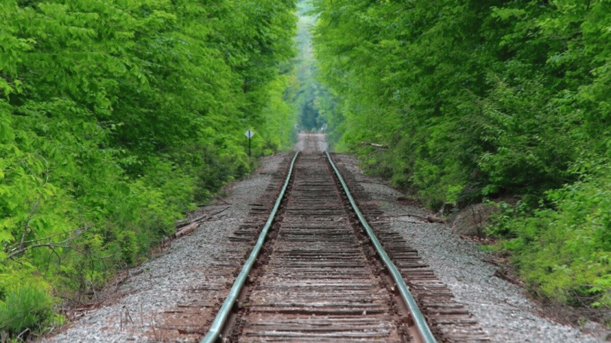 راهنمای خرید بلیط قطار: نکات مهم و ترفندها راهنمای خرید بلیط قطار: نکات مهم و ترفندها