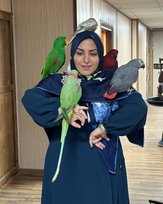 عکس/ طوطی بازی المیرا شریفی مقدم در برنامه صبحانه ایرانی