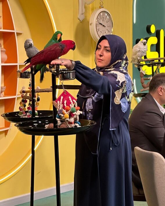 عکس/ طوطی بازی المیرا شریفی مقدم در برنامه صبحانه ایرانی