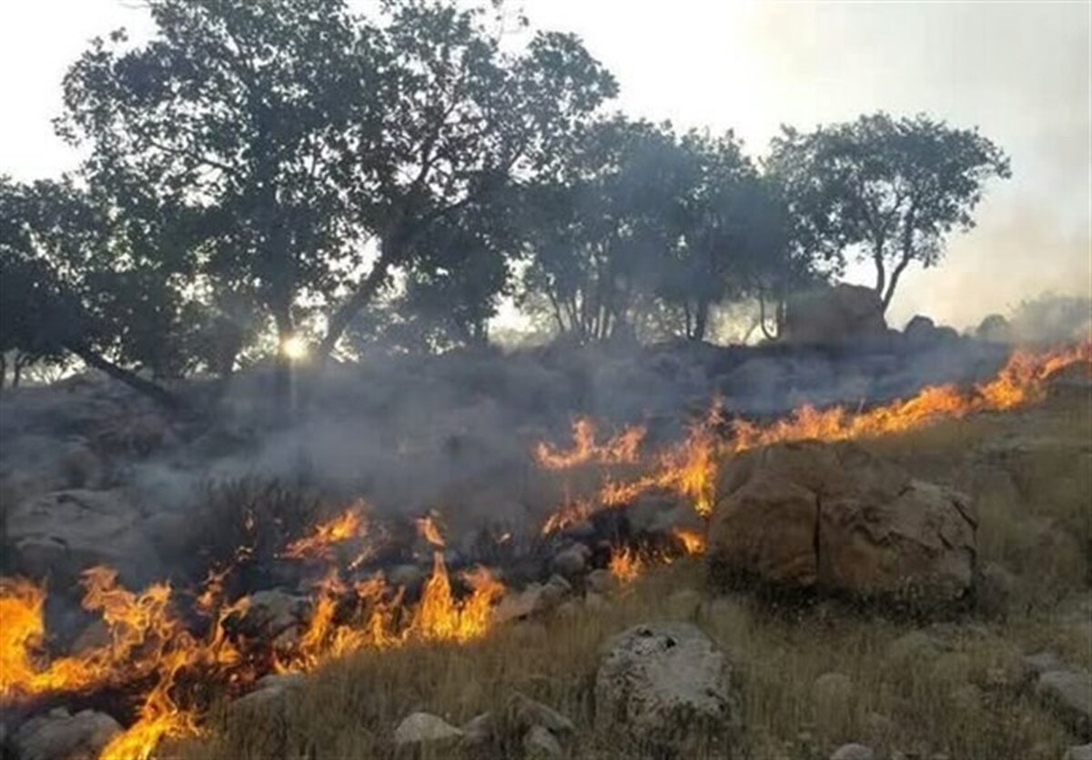 ۳۰ هکتار از جنگل‌های ماغر شهرستان بهمئی در آتش سوخت