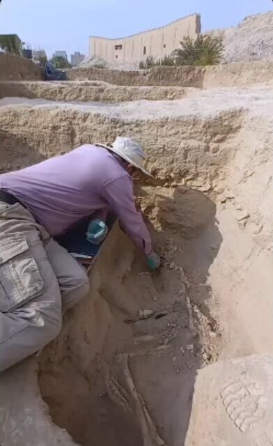 عکس/ کشف اسکلت در چشمه علی ری عکس/ کشف اسکلت در چشمه علی ری