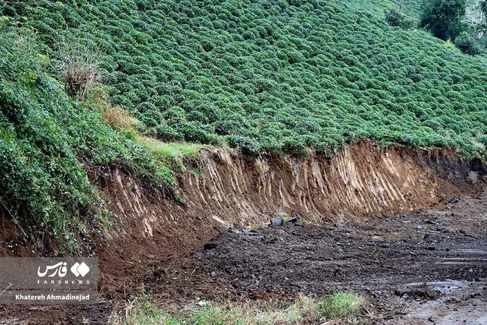 عکس/رانش زمین در گیلان