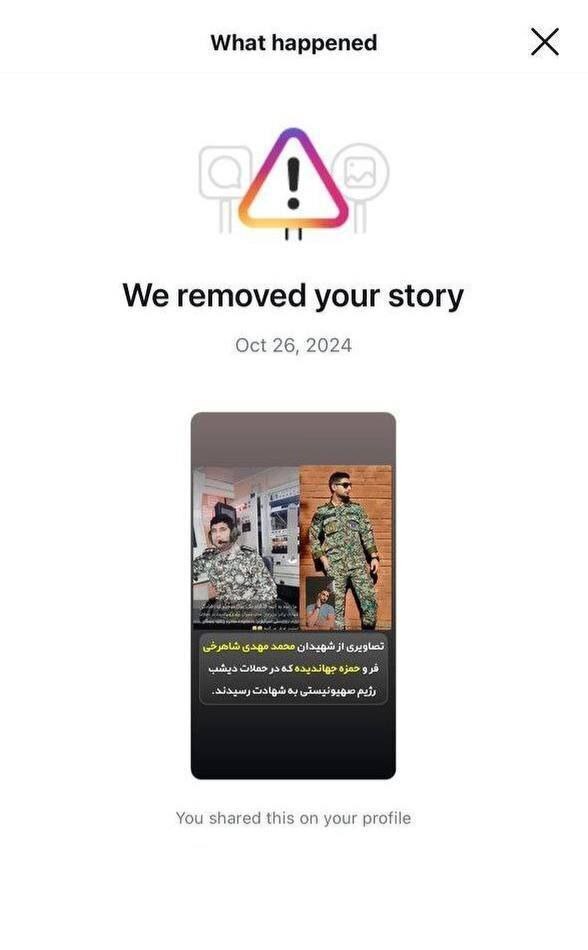 اقدام عجیب اینستاگرام درباره شهدای پدافند ارتش