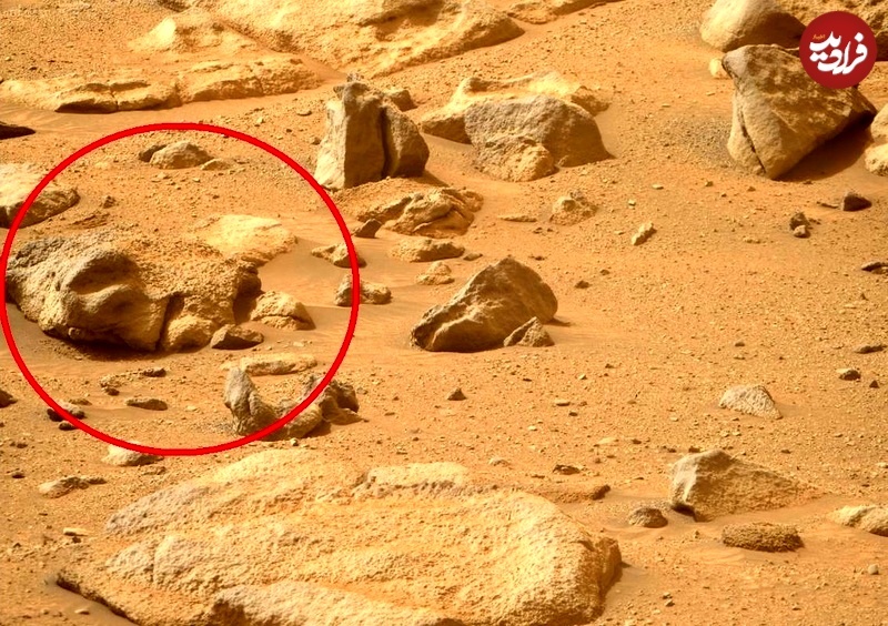 عکس/ تازه‌ترین خطای دید فضایی؛ مشاهدۀ «سر بریدۀ انسان» روی مریخ