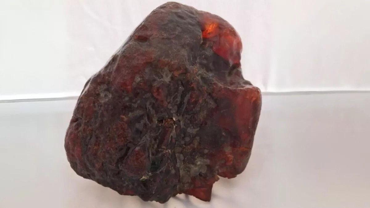 سنگ پادری، گنج 1 میلیون دلاری از آب درآمد