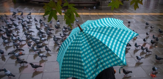 باد و باران در تهران