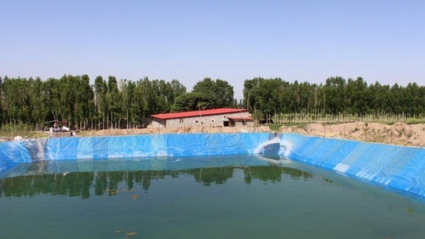 استخر‌های ذخیره آب کشاورزی در صدر حوادث غرق‌شدگی