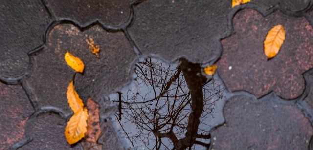 پاییز امسال دیرتر آغاز می‌شود/ پیش‌بینی کم‌بارشی در سال جاری