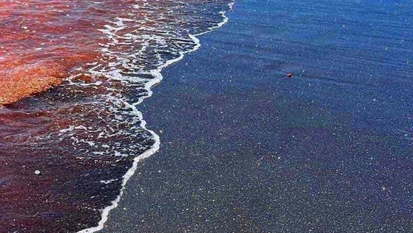 چند نفر خاک هرمز را بازگرداندند؟