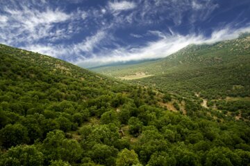 عروس دلربای زاگرس کجاست؟ + عکس