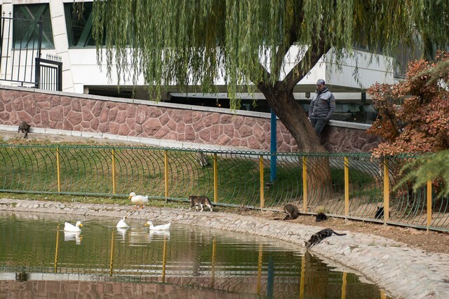 کیفیت هوای تهران در آخرین روز فروردین