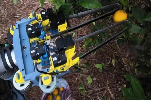 ربات میوه‌چین ساخته شد