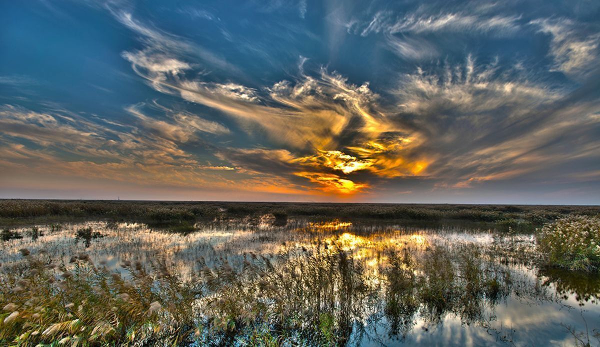 وضعیت قرمز تالاب هورالعظیم؛ چه باید کرد؟