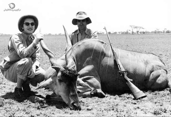 عکس/شاهزاده شکارچی؛ عبدالرضا پهلوی