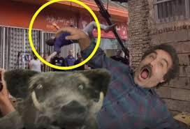 فیلم/پشت صحنه حمله گراز به نقی در پایتخت 7