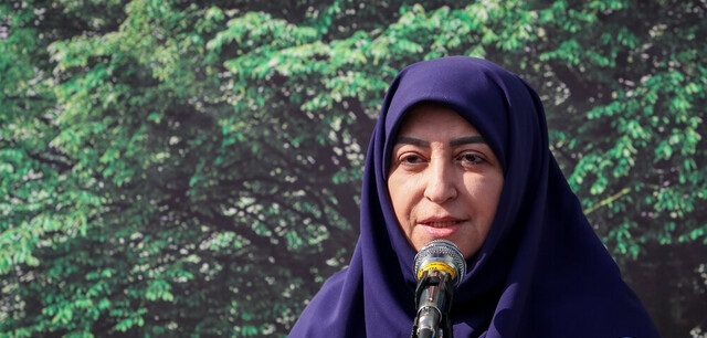 انصاری: برای حفاظت از محیط زیست همه تلاش خود را به کار می‌گیریم