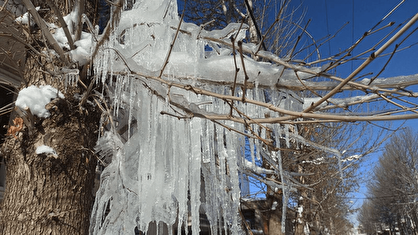 سقز و تکاب رکورد سردترین شب ایران را زدند