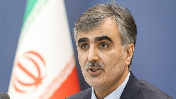 محمدرضا فرزین دستیار ویژه اقتصادی پزشکیان شد