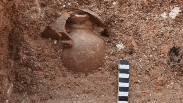 ماجرای کشف کوزه ساسانی پر از طلا در بوشهر