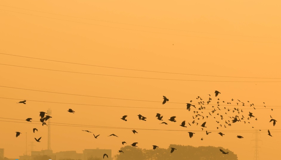 هشدار هواشناسی برای آلودگی هوا و فعالیت سامانه بارشی