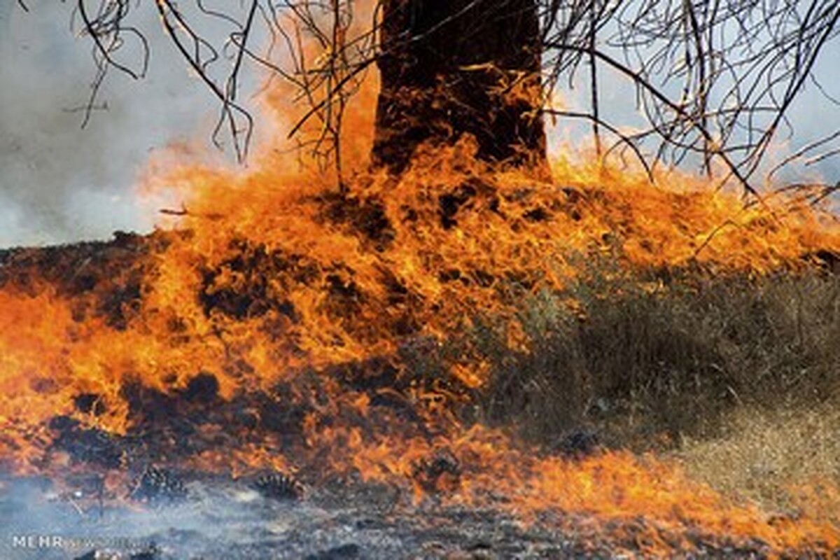 علت حریق در محدوده جنوب غرب تهران چه بود؟