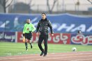 دو پوریای جوان، برگ برنده مربی موفق پرسپولیسی