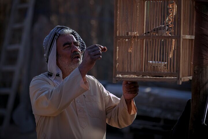 چهره سعید آقاخانی و سروش صحت در جشنواره امسال چهره سعید آقاخانی و سروش صحت در جشنواره امسال
