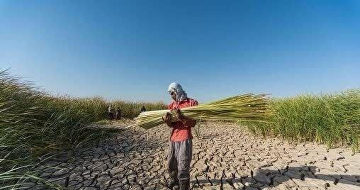 چالش جدی آبی برای کشاورزان گلستان