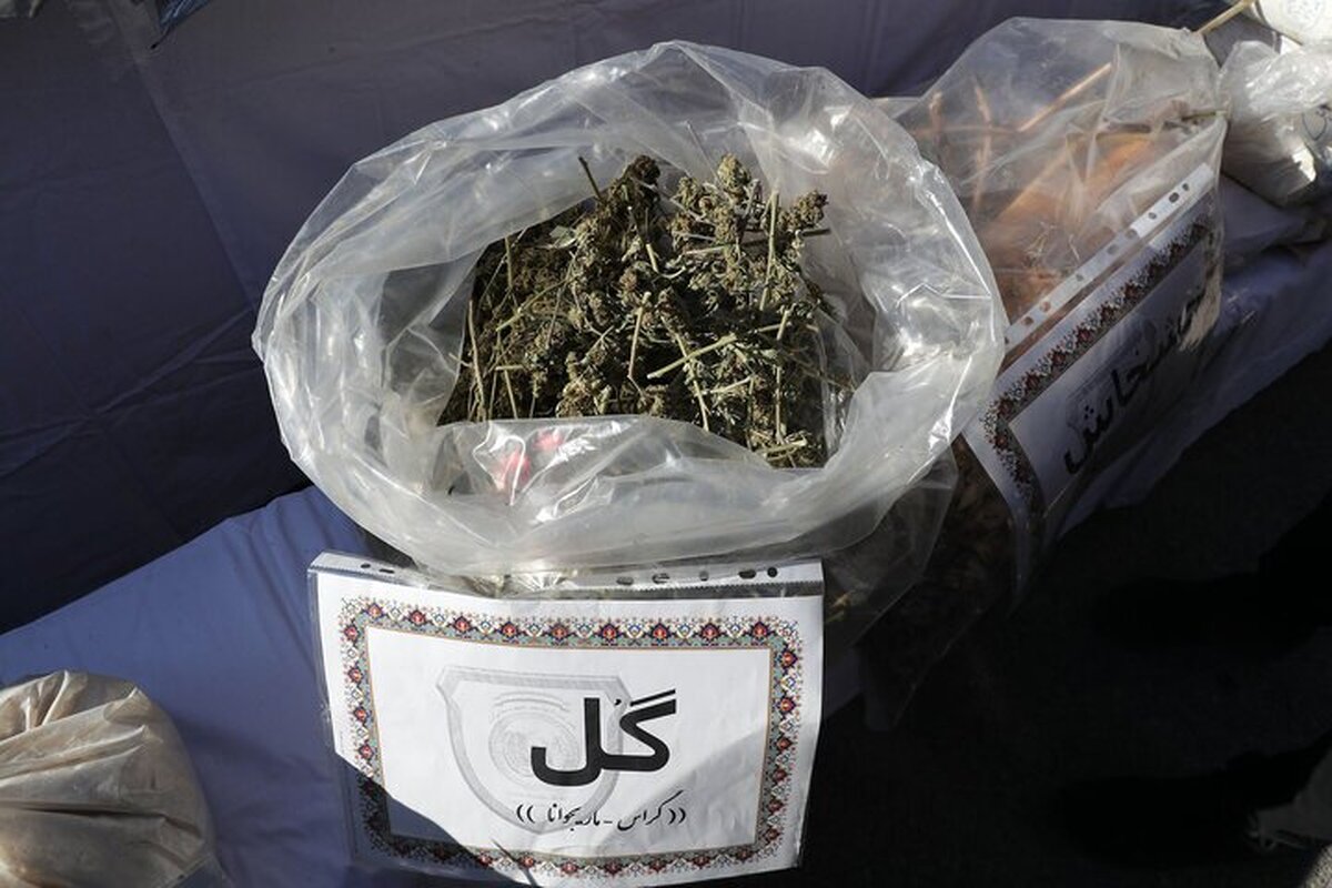 کشف ۱۴ کیلوگرم ماده روانگردان گُل در شرق پایتخت