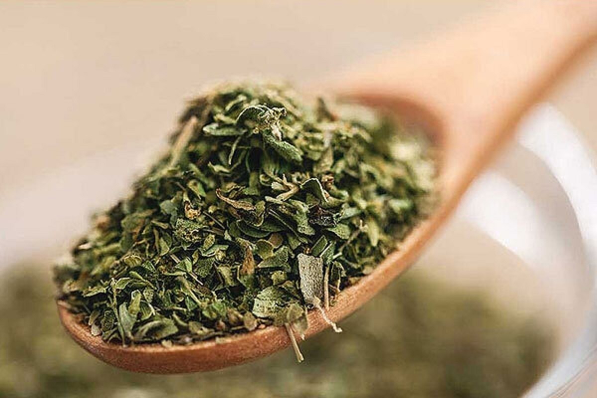 فواید و خطرات روغن پونه کوهی برای بدن