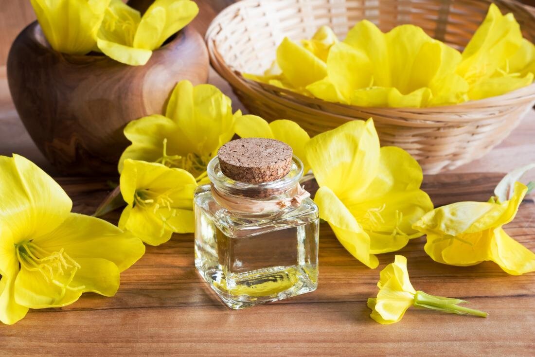 روغن گل مغربی باعث درمان میگرن میشود یا تشدید آن؟ روغن گل مغربی باعث درمان میگرن میشود یا تشدید آن؟