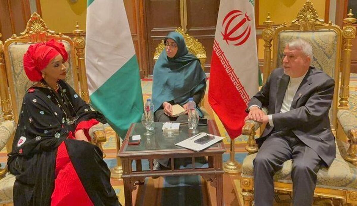صالحی‌امیری بر طراحی و اجرای نقشه راه دیپلماسی فرهنگی با نیجریه تاکید کرد